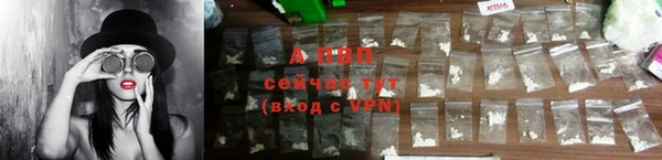 PSILOCYBIN Медвежьегорск