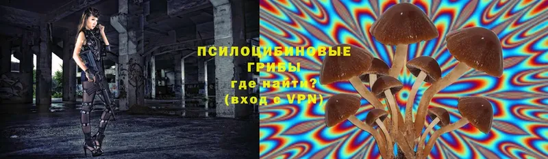 Галлюциногенные грибы Psilocybine cubensis  ссылка на мегу маркетплейс  Новозыбков 