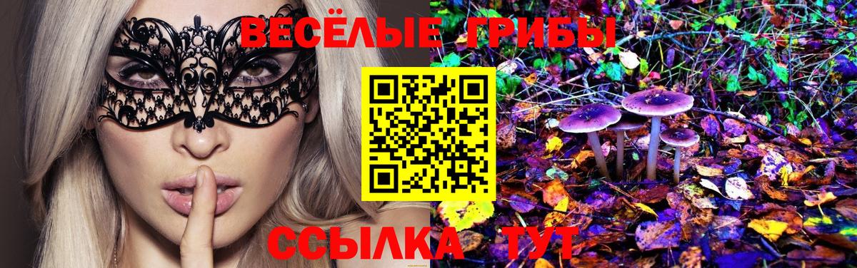 как найти   Псилоцибиновые грибы мицелий  Вход с VPN  Новозыбков 