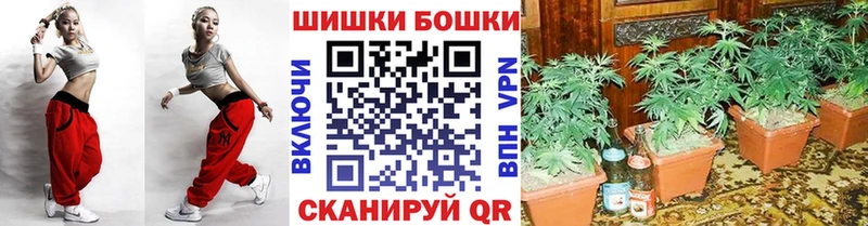 Шишки марихуана THC 21%  наркотики  hydra как зайти  Новозыбков 