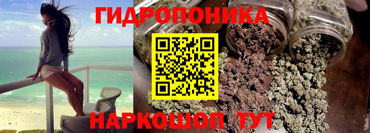 Бошки Шишки MAZAR Новозыбков